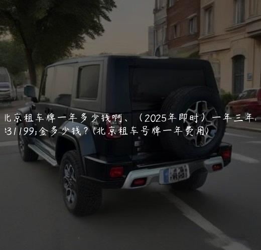 北京租车牌一年多少钱啊、（2025年即时）一年三年租金多少钱？(北京租车号牌一年费用)
