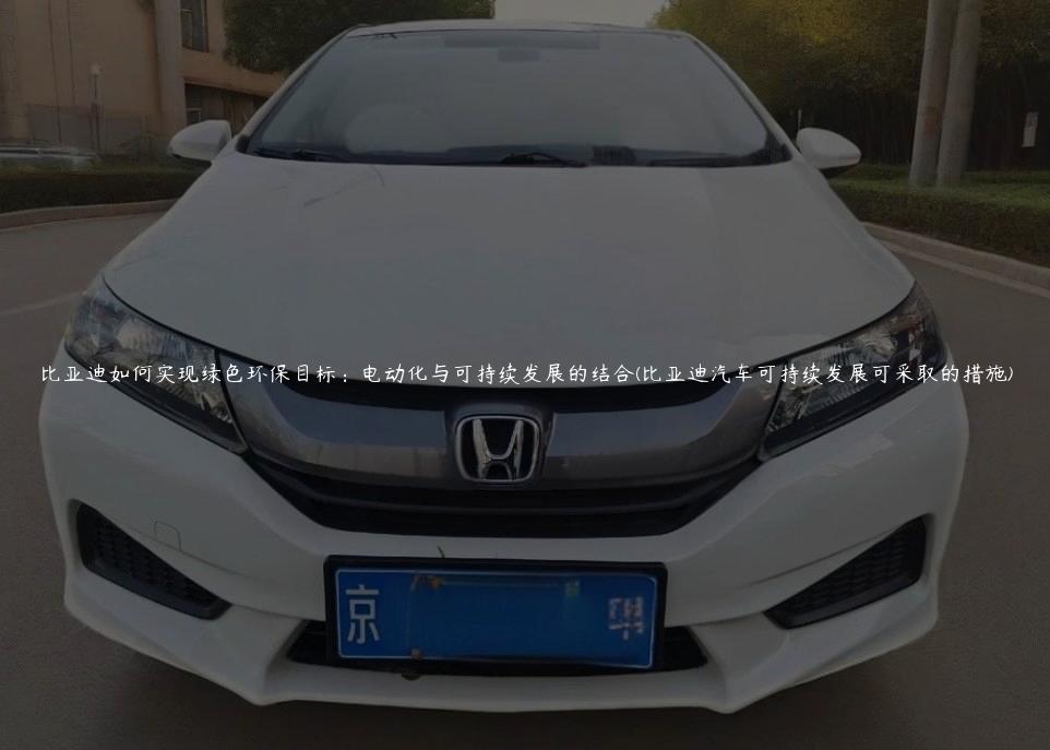 比亚迪如何实现绿色环保目标：电动化与可持续发展的结合(比亚迪汽车可持续发展可采取的措施)